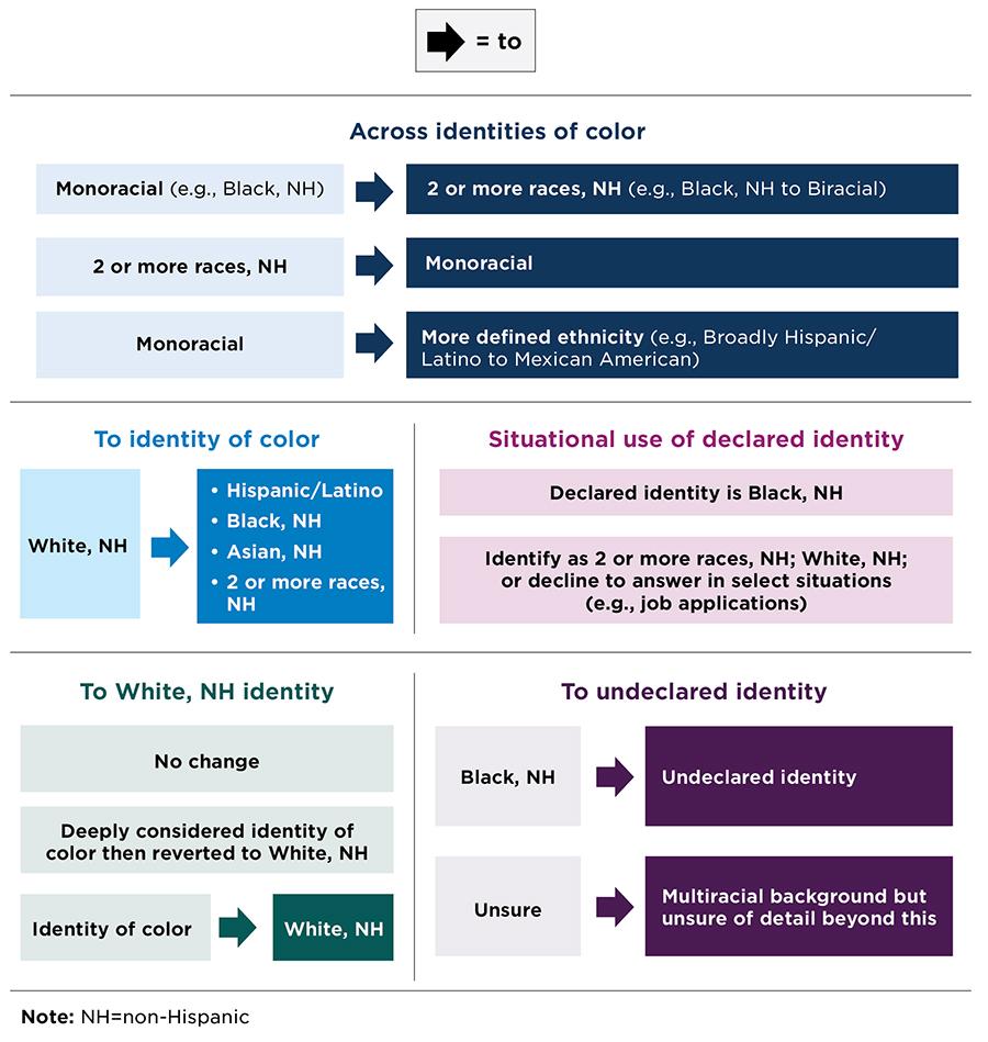 Figure 1b: Patterns of Racial and Ethnic Identity Change, by Type of Shift